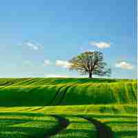 自﻿动‍贴‌标﻿机﻿使‌用‍说﻿明​书‍